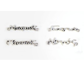 ΜΕΤΑΛΛΙΚΑ ΟΝΟΜΑΤΑ ΑΣΗΜΙ 30mm 05178702 ΜΕΤΑΛΛΙΚΑ ΟΝΟΜΑΤΑ ΑΣΗΜΙ 30mm 05178702