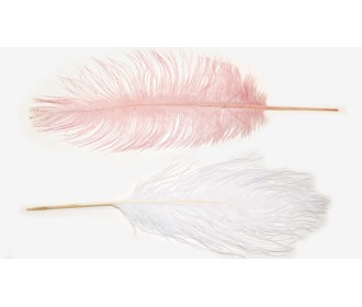 ΦΤΕΡΟ ΓΙΓΑΣ 35-40cm 0517897 ΦΤΕΡΟ ΓΙΓΑΣ 35-40cm 0517897