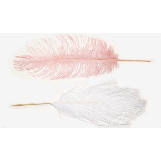 ΦΤΕΡΟ ΓΙΓΑΣ 35-40cm 0517897