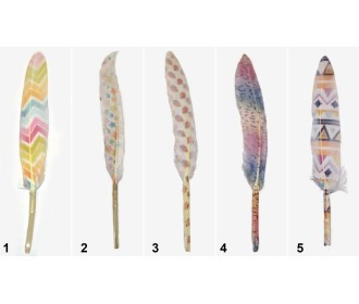 ΠΟΥΠΟΥΛΟ ΦΤΕΡΟ ΠΟΛΥΧΡΩΜΟ 12-15CM 0517898 ΠΟΥΠΟΥΛΟ ΦΤΕΡΟ ΠΟΛΥΧΡΩΜΟ 12-15CM 0517898