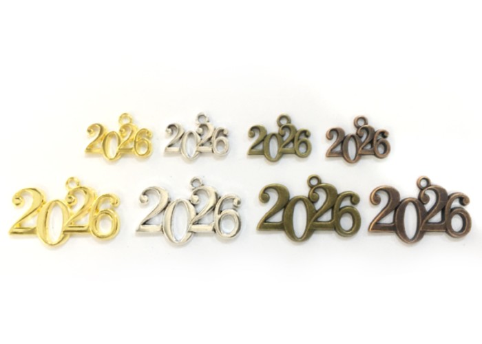 ΜΕΤΑΛΛΙΚΟ ΚΡΕΜΑΣΤΟ 2026 ΜΕΓΑΛΟ 4.5cm x 1.8cm 0519482 ΜΕΤΑΛΛΙΚΟ ΚΡΕΜΑΣΤΟ 2026 ΜΕΓΑΛΟ 4.5cm x 1.8cm 0519482