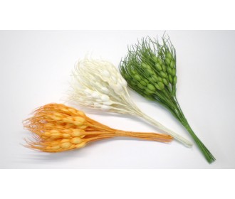 ΣΤΑΧΥ ΧΡΩΜΑΤΙΣΤΟ 0520005