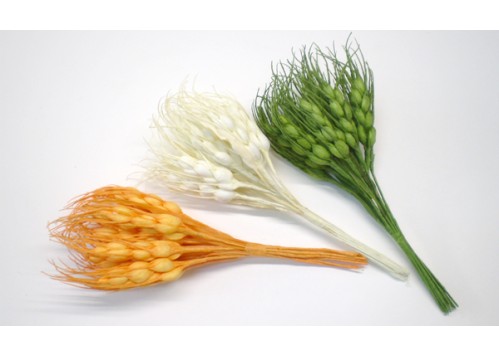 ΣΤΑΧΥ ΧΡΩΜΑΤΙΣΤΟ 0520005 ΣΤΑΧΥ ΧΡΩΜΑΤΙΣΤΟ 0520005