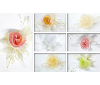 ΤΡΙΑΝΤΑΦΥΛΛΟ ΟΡΓΑΝΤΖΑΣ 5 ΡΑΚΕΤΕΣ 22x8cm 0520032 ΤΡΙΑΝΤΑΦΥΛΛΟ ΟΡΓΑΝΤΖΑΣ 5 ΡΑΚΕΤΕΣ 22x8cm 0520032