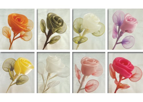 ΛΟΥΛΟΥΔΙ ΜΙΚΡΟ ΟΡΓΑΝΤΖΑ 3 ΡΑΚΕΤΕΣ 22x5cm 0520040 ΛΟΥΛΟΥΔΙ ΜΙΚΡΟ ΟΡΓΑΝΤΖΑ 3 ΡΑΚΕΤΕΣ 22x5cm 0520040