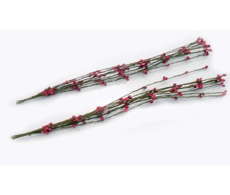 ΚΛΑΔΙ ΜΕ ΚΟΚΚΙΝΑ ΣΠΟΡΑΚΙΑ 0520088 ΚΛΑΔΙ ΜΕ ΚΟΚΚΙΝΑ ΣΠΟΡΑΚΙΑ 0520088