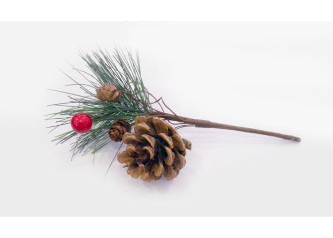 ΧΡΙΣΤΟΥΓΕΝΝΙΑΤΙΚΟ ΚΛΑΔΙ ΜΙΚΡΟ 19cm 0520100 ΧΡΙΣΤΟΥΓΕΝΝΙΑΤΙΚΟ ΚΛΑΔΙ ΜΙΚΡΟ 19cm 0520100