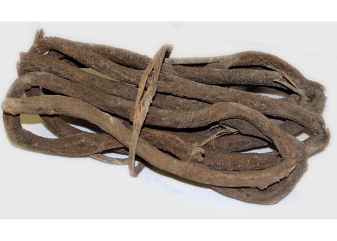 ΚΛΑΔΙ ΦΥΣΙΚΟ 6m 0520107 ΚΛΑΔΙ ΦΥΣΙΚΟ 6m 0520107