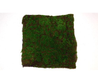 ΤΑΠΗΤΑΣ ΚΟΜΜΑΤΙ 30x30cm 0520109 ΤΑΠΗΤΑΣ ΚΟΜΜΑΤΙ 30x30cm 0520109