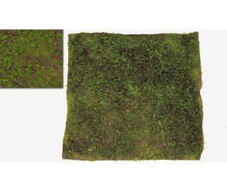 ΤΑΠΗΤΑΣ 1x1m 0520110