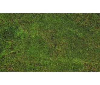 ΤΑΠΗΤΑΣ 1x2m 0520126 ΤΑΠΗΤΑΣ 1x2m 0520126