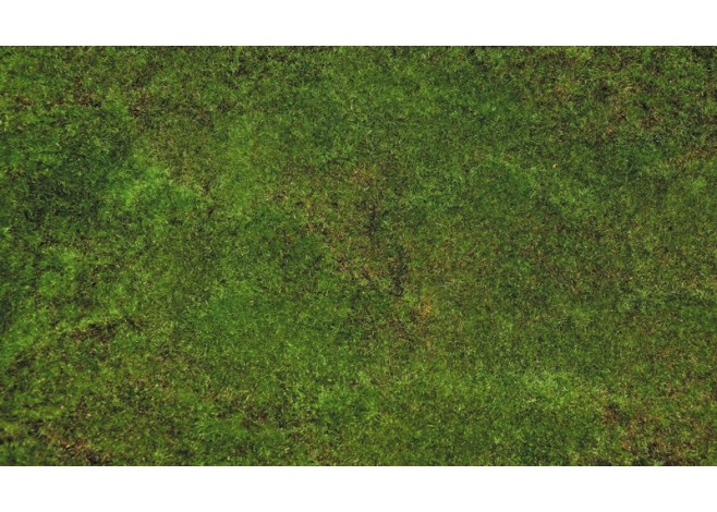 ΤΑΠΗΤΑΣ 1x2m 0520126