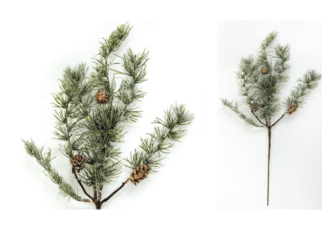 ΚΛΑΔΙ ΕΛΑΤΟ ΜΕ ΚΟΥΚΟΥΝΑΡΙ ΜΙΚΡΟ 47cm 0530050 ΚΛΑΔΙ ΕΛΑΤΟ ΜΕ ΚΟΥΚΟΥΝΑΡΙ ΜΙΚΡΟ 47cm 0530050