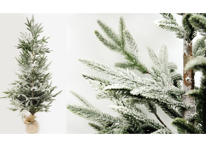 ΧΡΙΣΤΟΥΓΕΝΝΙΑΤΙΚΟ ΕΛΑΤΟ ΧΙΟΝΙΣΜΕΝΟ ST18-T082A 60cm x 150cm 0530054 ΧΡΙΣΤΟΥΓΕΝΝΙΑΤΙΚΟ ΕΛΑΤΟ ΧΙΟΝΙΣΜΕΝΟ ST18-T082A 60cm x 150cm 0530054