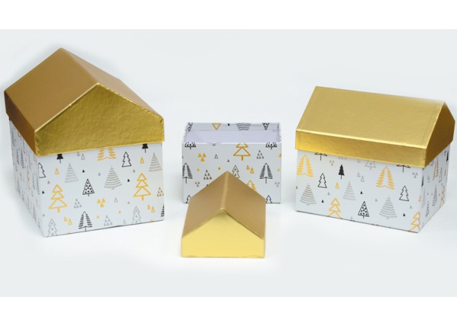 ΧΡΙΣΤΟΥΓΕΝΝΙΑΤΙΚΟ ΚΟΥΤΙ ΣΠΙΤΑΚΙ ΜΕΓΑΛΟ ΣΕΤ/3 0530106 ΧΡΙΣΤΟΥΓΕΝΝΙΑΤΙΚΟ ΚΟΥΤΙ ΣΠΙΤΑΚΙ ΜΕΓΑΛΟ ΣΕΤ/3 0530106