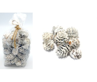 ΚΟΥΚΟΥΝΑΡΙΑ ΑΣΠΡΑ ΜΕ ΑΣΗΜΙ ΓΚΛΙΤΕΡ 0530152 ΚΟΥΚΟΥΝΑΡΙΑ ΑΣΠΡΑ ΜΕ ΑΣΗΜΙ ΓΚΛΙΤΕΡ 0530152