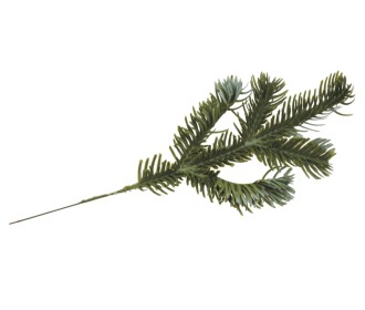 ΚΛΑΔΙ ΕΛΑΤΟ 29cm 0530188 ΚΛΑΔΙ ΕΛΑΤΟ 29cm 0530188