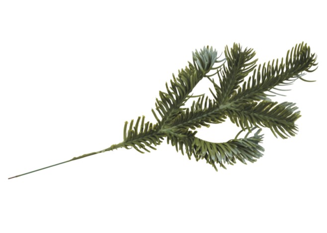 ΚΛΑΔΙ ΕΛΑΤΟ 29cm 0530188