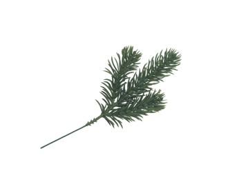 ΚΛΑΔΙ ΕΛΑΤΟ 18cm 0530189 ΚΛΑΔΙ ΕΛΑΤΟ 18cm 0530189