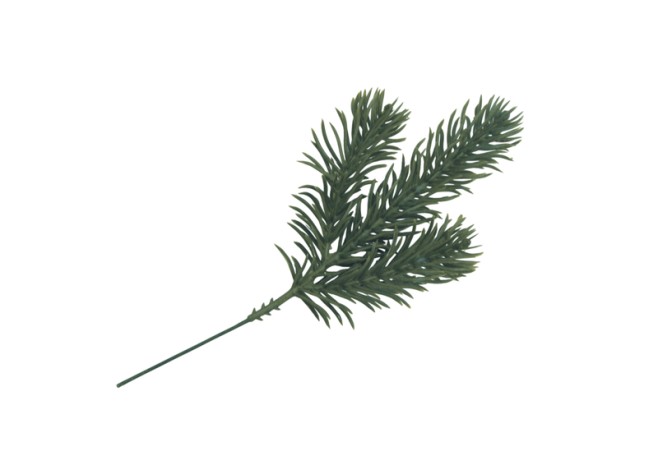 ΚΛΑΔΙ ΕΛΑΤΟ 18cm 0530189 ΚΛΑΔΙ ΕΛΑΤΟ 18cm 0530189