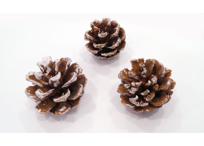 ΚΟΥΚΟΥΝΑΡΙ ΛΕΥΚΟ ZG163191 0531002 ΚΟΥΚΟΥΝΑΡΙ ΛΕΥΚΟ ZG163191 0531002