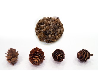 ΚΟΥΚΟΥΝΑΡΙ ΜΙΝΙ ΦΥΣΙΚΟ 250γρ. 0531150 ΚΟΥΚΟΥΝΑΡΙ ΜΙΝΙ ΦΥΣΙΚΟ 250γρ. 0531150