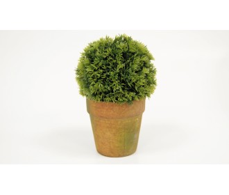 ΓΛΑΣΤΡΑΚΙ ΜΠΑΛΑ 19cm x 12cm ST14-T095 0532018 ΓΛΑΣΤΡΑΚΙ ΜΠΑΛΑ 19cm x 12cm ST14-T095 0532018