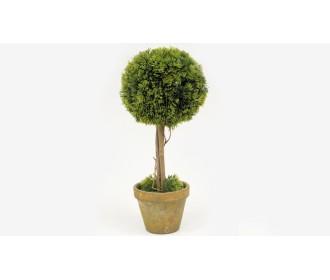 ΓΛΑΣΤΡΑΚΙ ΚΟΡΜΟΣ ΜΠΑΛΑ 36x15cm ST15-T022 0532019 ΓΛΑΣΤΡΑΚΙ ΚΟΡΜΟΣ ΜΠΑΛΑ 36x15cm ST15-T022 0532019