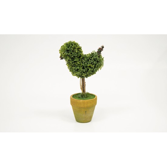 ΓΛΑΣΤΡΑΚΙ ΜΙΝΙ ΠΥΞΑΡΙ ΠΟΥΛΙ 21cm x 10cm ST12-T316 0532024 ΓΛΑΣΤΡΑΚΙ ΜΙΝΙ ΠΥΞΑΡΙ ΠΟΥΛΙ 21cm x 10cm ST12-T316 0532024