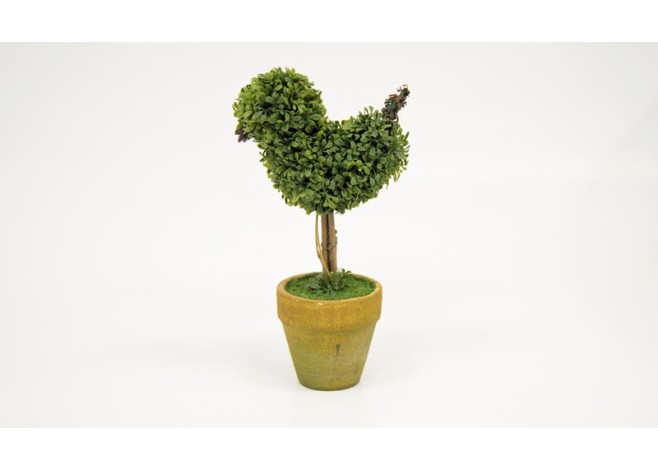 ΓΛΑΣΤΡΑΚΙ ΜΙΝΙ ΠΥΞΑΡΙ ΠΟΥΛΙ 21cm x 10cm ST12-T316 0532024 ΓΛΑΣΤΡΑΚΙ ΜΙΝΙ ΠΥΞΑΡΙ ΠΟΥΛΙ 21cm x 10cm ST12-T316 0532024