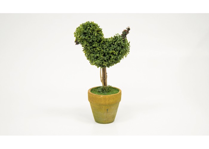 ΓΛΑΣΤΡΑΚΙ ΜΙΝΙ ΠΥΞΑΡΙ ΠΟΥΛΙ 21cm x 10cm ST12-T316 0532024