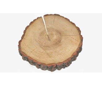 ΚΟΡΜΟΣ ΔΕΝΤΡΟΥ ΠΑΧΥΣ 16-20cm x 3cm 0619034 ΚΟΡΜΟΣ ΔΕΝΤΡΟΥ ΠΑΧΥΣ 16-20cm x 3cm 0619034