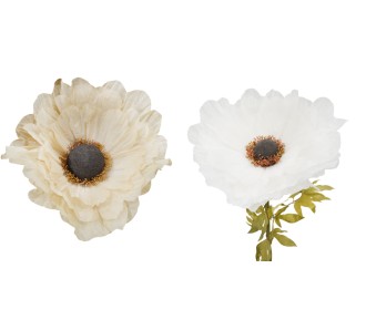 ΑΝΕΜΩΝΗ ΜΕ ΚΟΡΜΟ 50cm 0621004