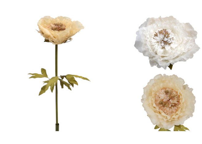 ΠΑΙΩΝΙΑ ΜΕ ΚΟΡΜΟ 28cm 0621007 ΠΑΙΩΝΙΑ ΜΕ ΚΟΡΜΟ 28cm 0621007