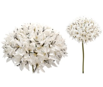 ΑΓΑΠΑΝΘΟΣ ΜΕ ΚΟΡΜΟ 50cm 0621009