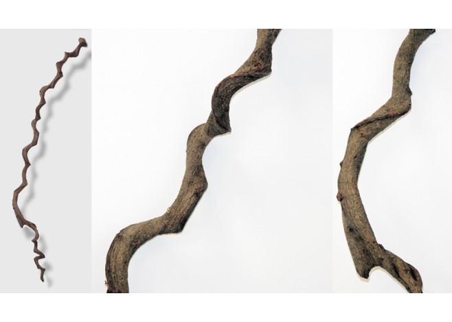 ΞΥΛΙΝΟ ΚΛΑΔΙ ΦΥΣΙΚΟ 200CM 0621069 ΞΥΛΙΝΟ ΚΛΑΔΙ ΦΥΣΙΚΟ 200CM 0621069