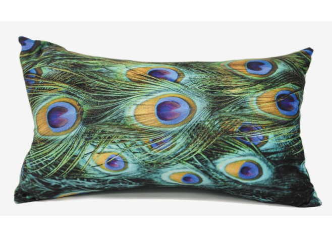 ΜΑΞΙΛΑΡΙ ΠΑΓΩΝΙ 30cm x 50cm XYX17-280 0621094 ΜΑΞΙΛΑΡΙ ΠΑΓΩΝΙ 30cm x 50cm XYX17-280 0621094