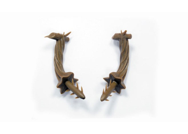 ΚΟΤΣΑΝΙ ΚΟΛΟΚΥΘΑΣ ΜΕΓΑΛΟ 7.8cm 0621349 ΚΟΤΣΑΝΙ ΚΟΛΟΚΥΘΑΣ ΜΕΓΑΛΟ 7.8cm 0621349