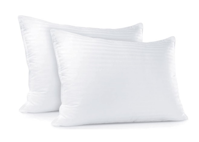 ΞΕΝ/KO ΜΑΞΙΛΑΡΙ ΥΠΝΟΥ 53cm x 73cm MICRO FIBRE 1000G 0804130 ΞΕΝ/KO ΜΑΞΙΛΑΡΙ ΥΠΝΟΥ 53cm x 73cm MICRO FIBRE 1000G 0804130