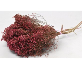 BROOM BLOOM ΡΟΖ 50cm 0924004