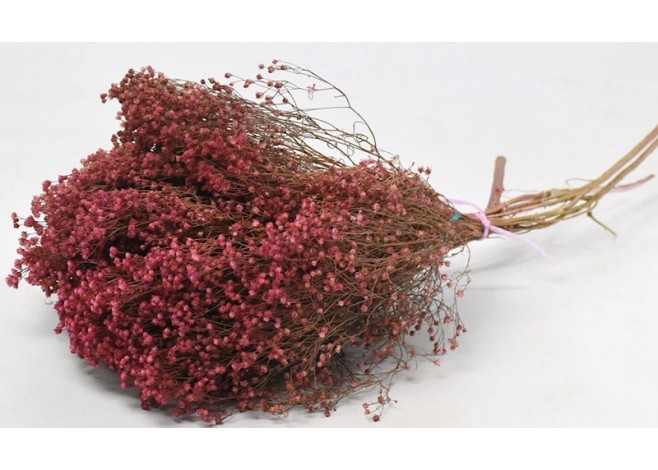 BROOM BLOOM ΡΟΖ 50cm 0924004 BROOM BLOOM ΡΟΖ 50cm 0924004