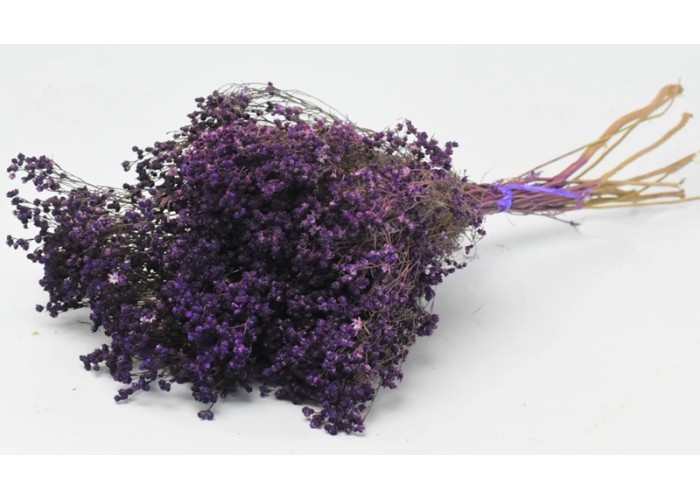 BROOM BLOOM ΜΩΒ 50cm 0924008