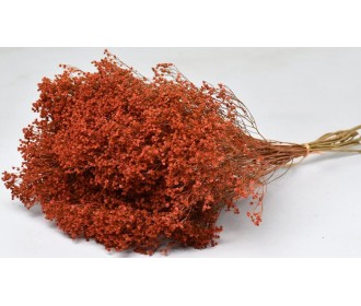 BROOM BLOOM ΠΟΡΤΟΚΑΛΙ 50cm 0924029