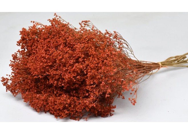 BROOM BLOOM ΠΟΡΤΟΚΑΛΙ 50cm 0924029 BROOM BLOOM ΠΟΡΤΟΚΑΛΙ 50cm 0924029