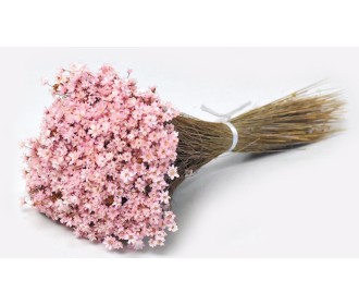 Glixia ΡΟΖ 30cm 0943004 Glixia ΡΟΖ 30cm 0943004