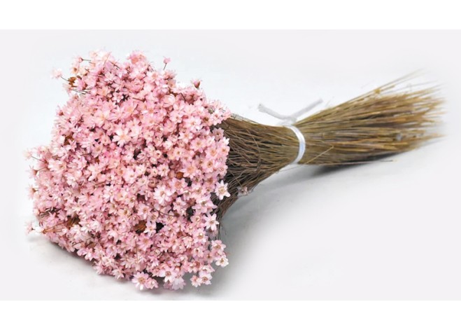 Glixia ΡΟΖ 30cm 0943004 Glixia ΡΟΖ 30cm 0943004