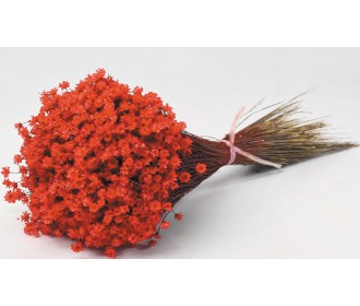 Glixia ΚΟΚΚΙΝΟ 30cm 0943005 Glixia ΚΟΚΚΙΝΟ 30cm 0943005