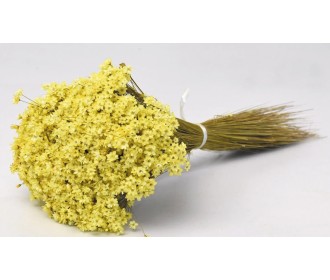 Glixia ΚΙΤΡΙΝΟ 30cm 0943009 Glixia ΚΙΤΡΙΝΟ 30cm 0943009