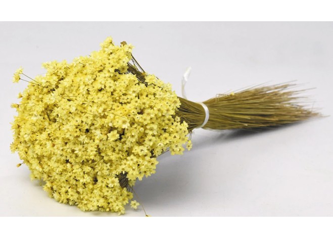 Glixia ΚΙΤΡΙΝΟ 30cm 0943009 Glixia ΚΙΤΡΙΝΟ 30cm 0943009