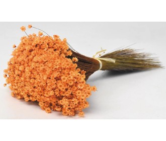 Glixia ΠΟΡΤΟΚΑΛΙ 30cm 0943029 Glixia ΠΟΡΤΟΚΑΛΙ 30cm 0943029